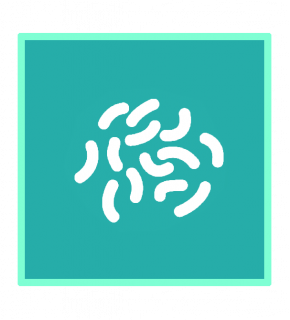 Обработка от плесени