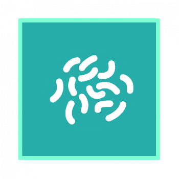 Обработка от плесени