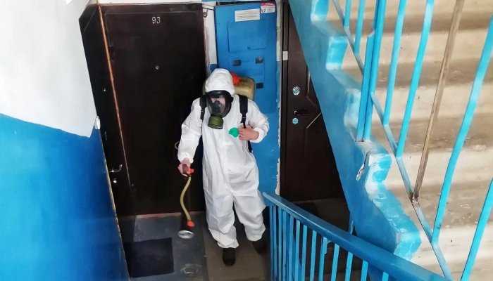 Как точно определить, кто завёлся у вас в квартире?